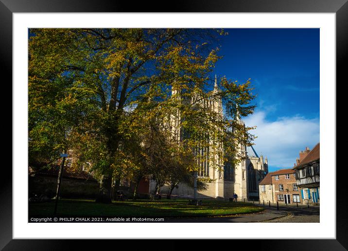 York minster in spring time 258 Framed Mounted Print by PHILIP CHALK
