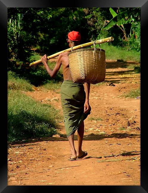 Man in Lungi Walking with Basket, Myanmar (Burma) Framed Print by Serena Bowles
