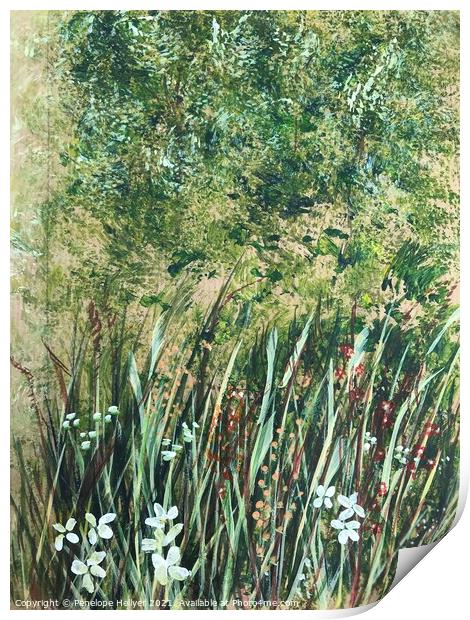 Grassy Verge Print by Penelope Hellyer