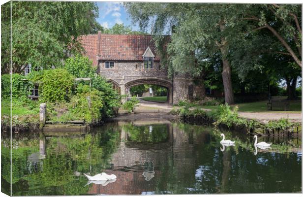 Serene Swans on Wensum Canvas Print by Kevin Snelling