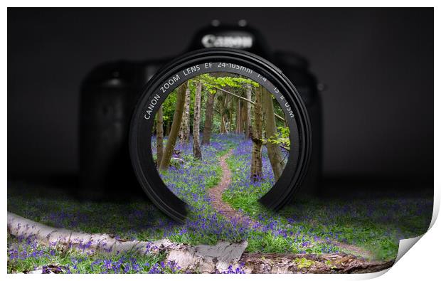 Spring through my lens Print by Andy Dow