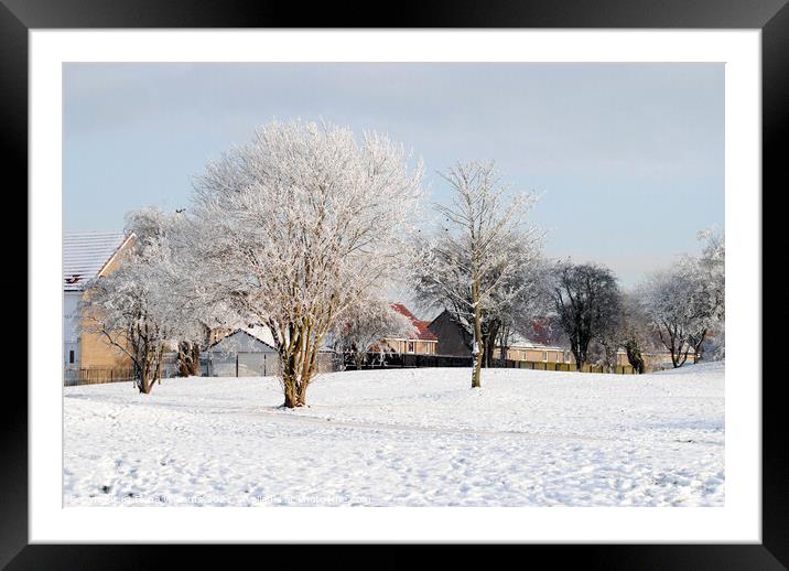 Winter landscape Framed Mounted Print by Fiona Williams