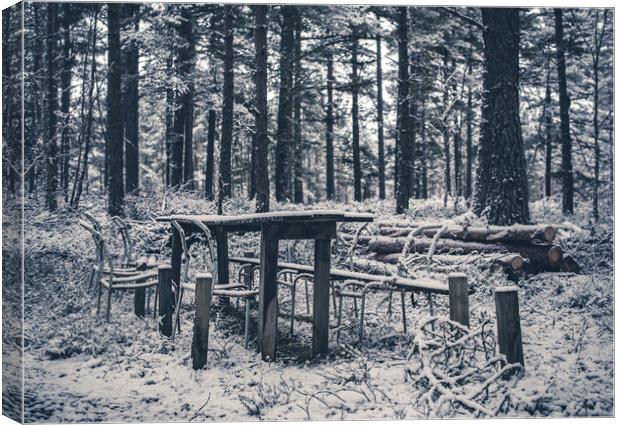 Abandoned Table in the Woods Canvas Print by Duncan Loraine