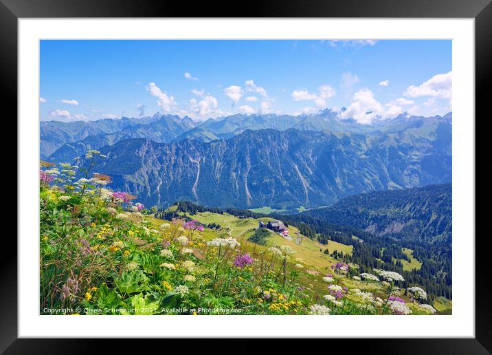 Alpine Panorama - Fellhorn View of the Allgaeuer M Framed Mounted Print by Gisela Scheffbuch