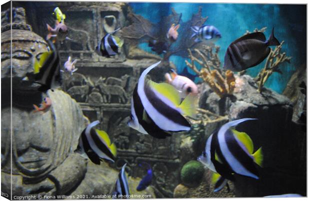 Aquarium Canvas Print by Fiona Williams