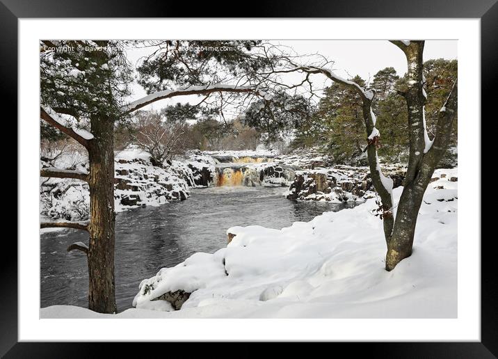 Low Force in Winter, Bowlees, Teesdale County Durham, UK Framed Mounted Print by David Forster