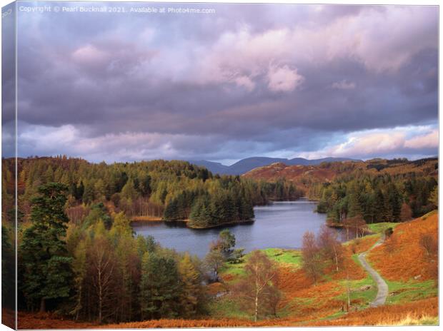 Lake District Tarn Hows in Autumn Canvas Print by Pearl Bucknall