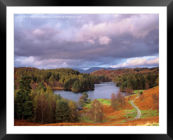 Lake District Tarn Hows in Autumn Framed Mounted Print by Pearl Bucknall
