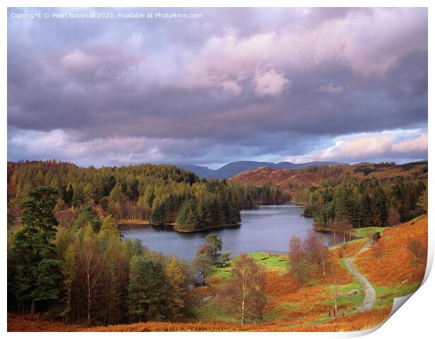 Lake District Tarn Hows in Autumn Print by Pearl Bucknall