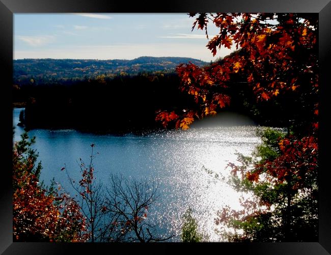 Fall in the Gatineau Hills, Quebec Framed Print by Stephanie Moore