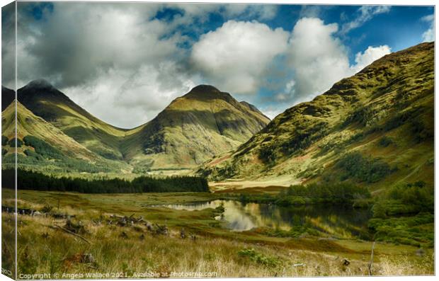 Mountains around Glen Etive Canvas Print by Angela Wallace