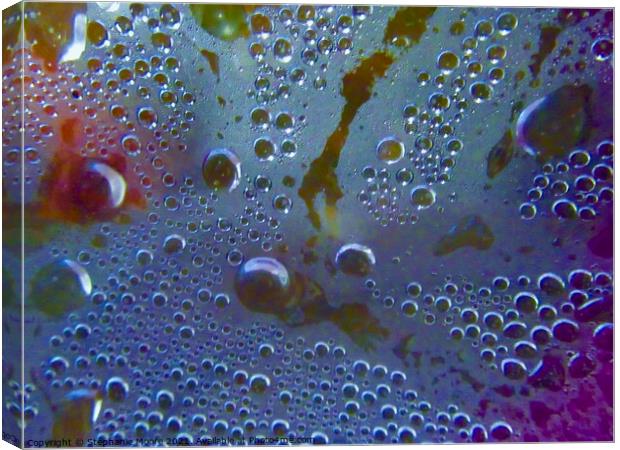 Bubbles Canvas Print by Stephanie Moore