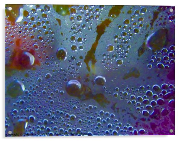 Bubbles Acrylic by Stephanie Moore