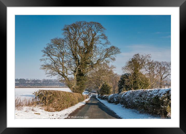 Thorpe Sycamore in Snow Framed Mounted Print by Richard Laidler
