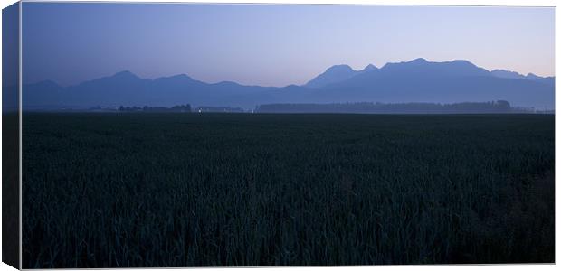 Dawn over the alps Canvas Print by Ian Middleton