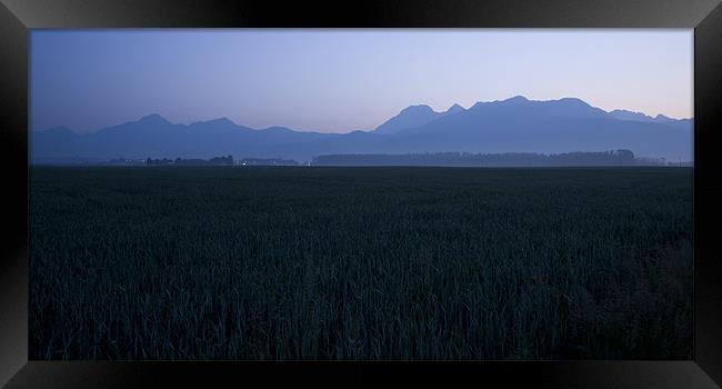 Dawn over the alps Framed Print by Ian Middleton