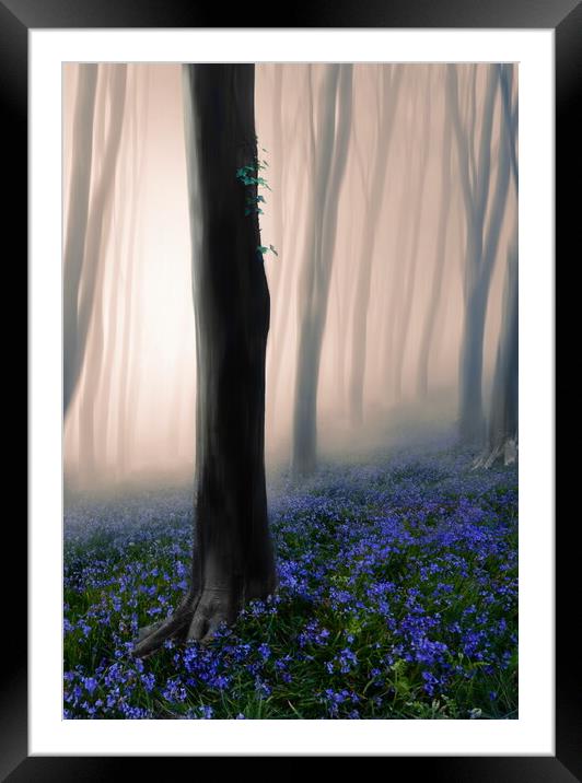 Mystical Misty Woods Framed Mounted Print by David Neighbour