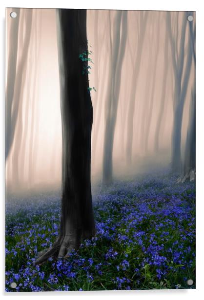 Mystical Misty Woods Acrylic by David Neighbour