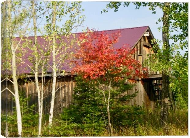Another view of the Purple barn Canvas Print by Stephanie Moore