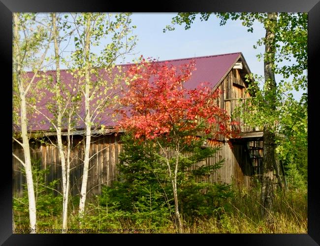 Another view of the Purple barn Framed Print by Stephanie Moore