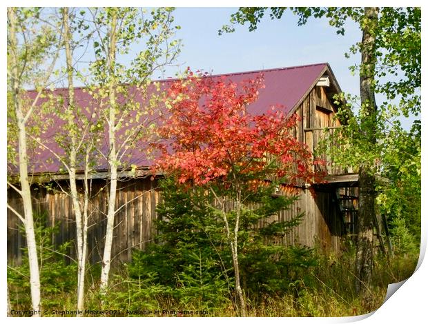 Another view of the Purple barn Print by Stephanie Moore