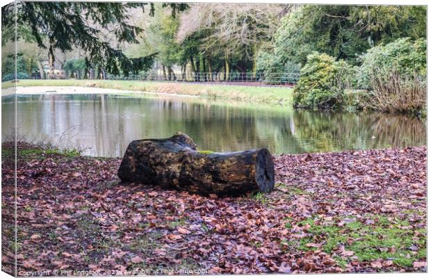 Tranquil pond Croxteth Park Liverpool  Canvas Print by Phil Longfoot