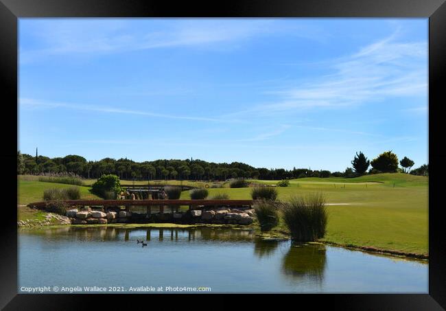 Water Hazard at Oceanico Golf Vilamoura  Framed Print by Angela Wallace