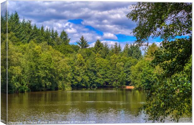 Speech House Lake, Forest of Dean Canvas Print by Tracey Turner