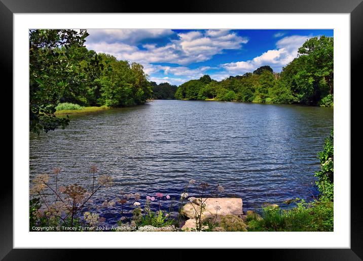 Serenity at Cannop Ponds Framed Mounted Print by Tracey Turner