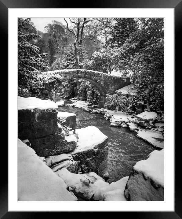 Jesmond Dene in the Snow 2 Framed Mounted Print by Paul Appleby