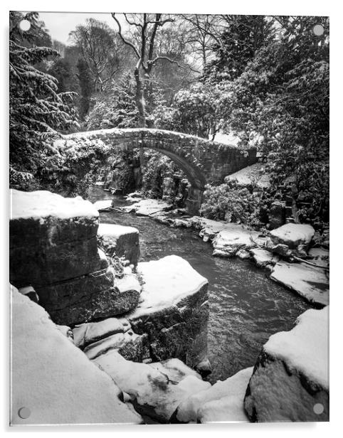 Jesmond Dene in the Snow 2 Acrylic by Paul Appleby