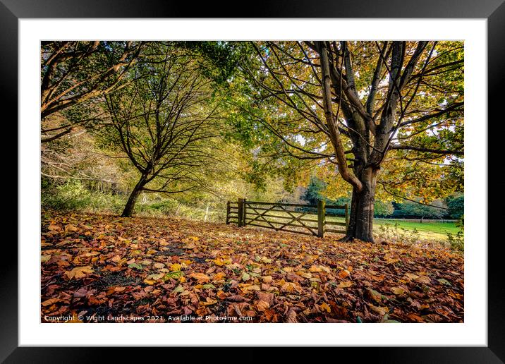 Golden Autumn Colours Framed Mounted Print by Wight Landscapes