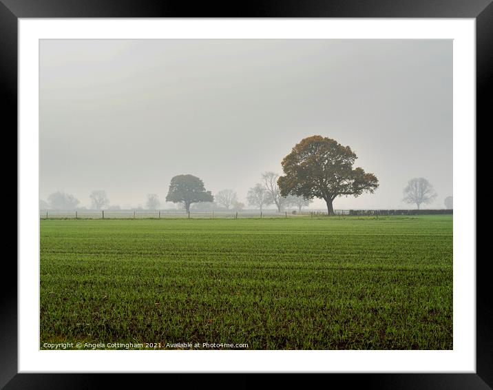 Misty Morning Framed Mounted Print by Angela Cottingham