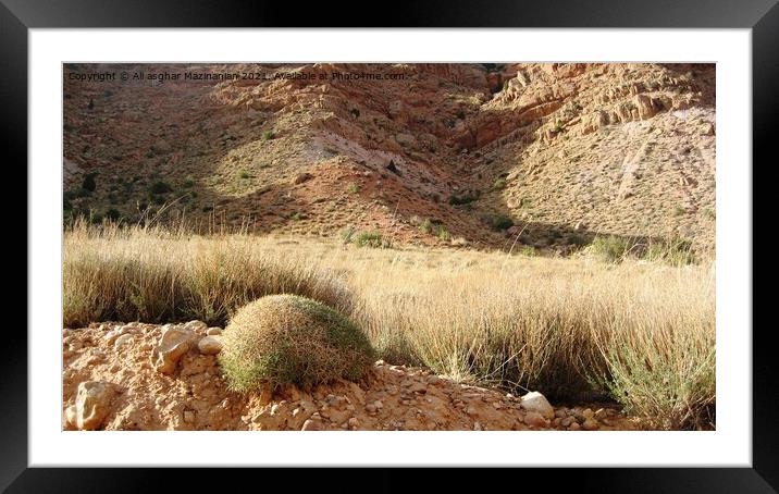 Outdoor field Framed Mounted Print by Ali asghar Mazinanian