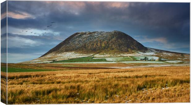 Glow over Slemish Mountain Canvas Print by Alan Campbell