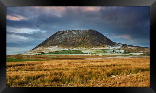 Glow over Slemish Mountain Framed Print by Alan Campbell