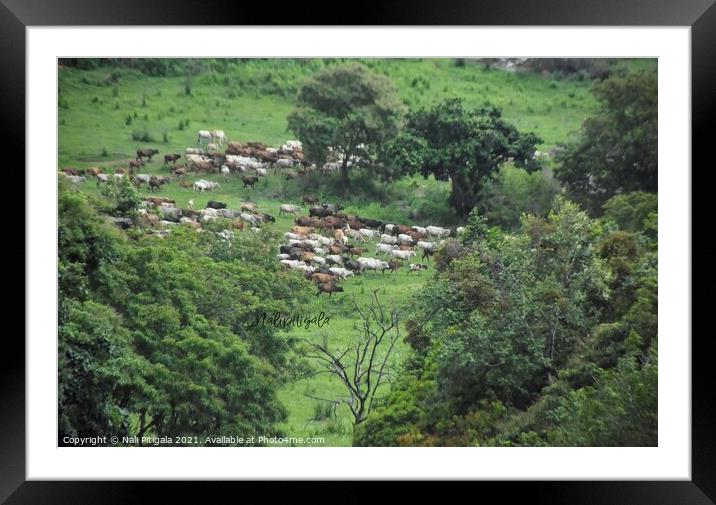 Rural Area of SriLanka Framed Mounted Print by Nali Pitigala