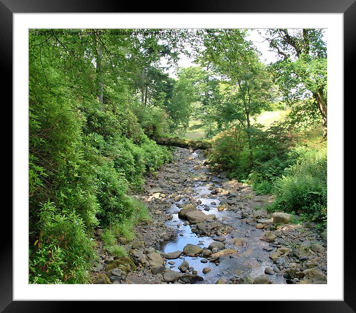 Dried up Stream Framed Mounted Print by William Linton