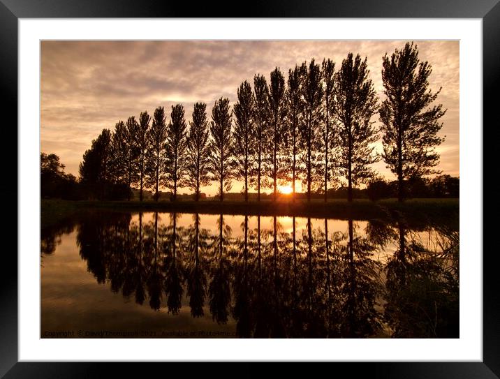 Belsay Ponds Newcastle Upon Tyne  Framed Mounted Print by David Thompson