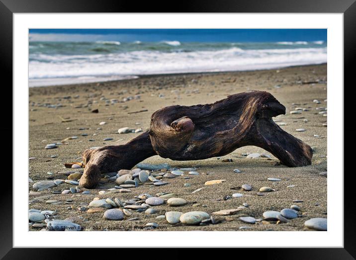 Driftwood - Okarita Beach - New Zealand 2 Framed Mounted Print by Steven Ralser