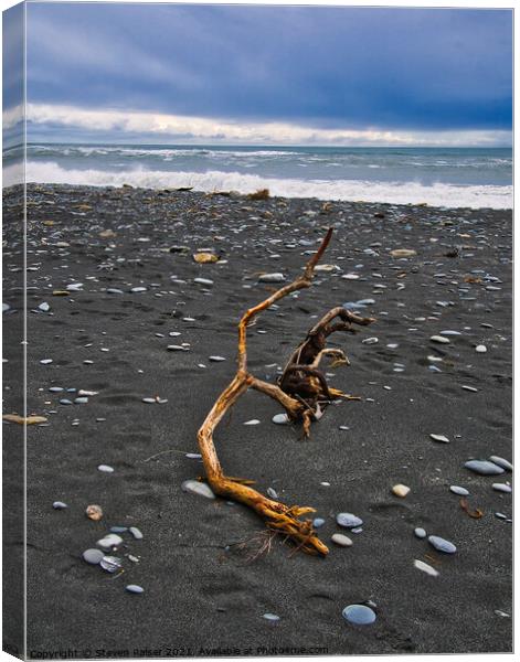 Driftwood - Okarita Beach - New Zealand 3 Canvas Print by Steven Ralser
