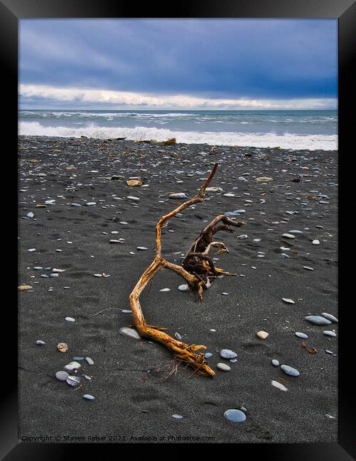 Driftwood - Okarita Beach - New Zealand 3 Framed Print by Steven Ralser