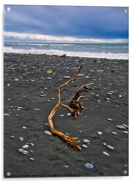 Driftwood - Okarita Beach - New Zealand 3 Acrylic by Steven Ralser