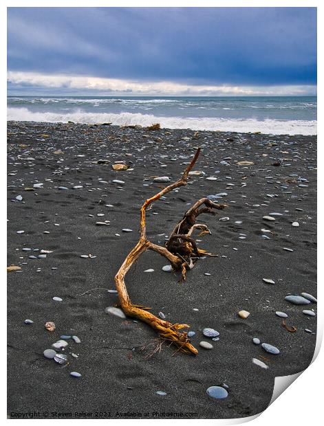 Driftwood - Okarita Beach - New Zealand 3 Print by Steven Ralser