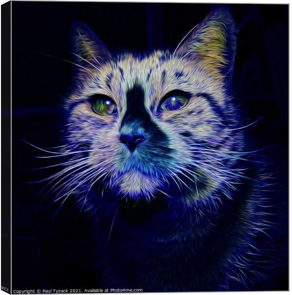 The blue cat Canvas Print by Paul Tyzack