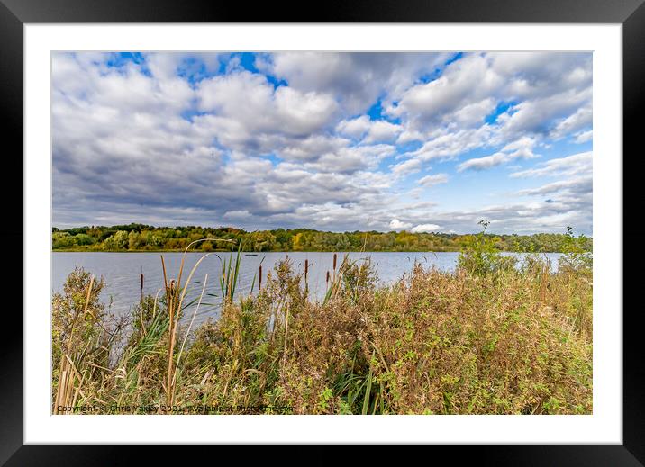 Whitlingham Broad, Norwich, Norfolk Framed Mounted Print by Chris Yaxley
