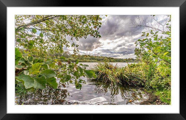 The waterside of Whitlingham Broad, Norfolk Framed Mounted Print by Chris Yaxley