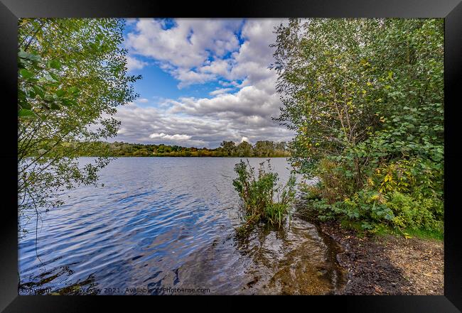 Whitlingham Broad Framed Print by Chris Yaxley