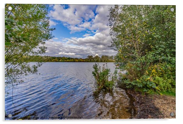 Whitlingham Broad Acrylic by Chris Yaxley