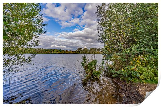 Whitlingham Broad Print by Chris Yaxley